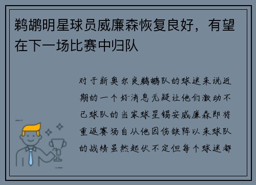 鹈鹕明星球员威廉森恢复良好,有望在下一场比赛中归队